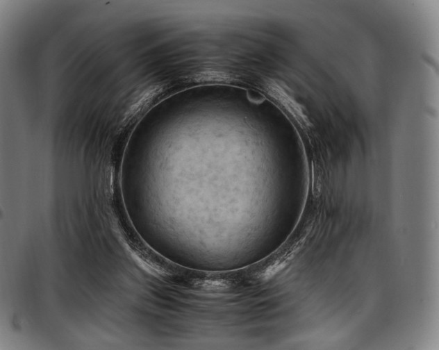X0000097600157200802291252