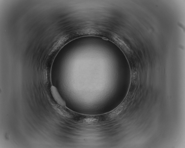 X0000097600158200802291252