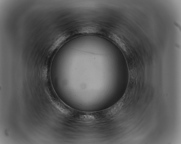 X0000097600159200802291252