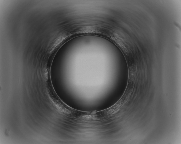X0000097600160200802291252