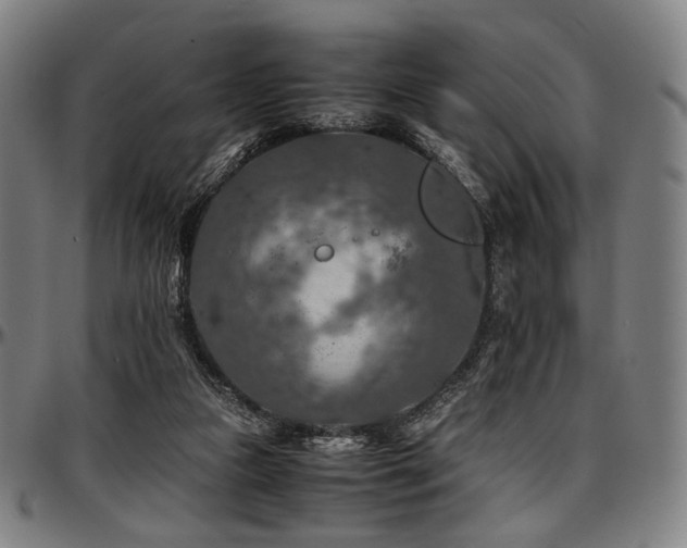 X0000097600161200802291252
