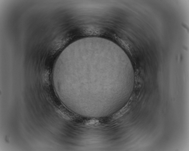 X0000097600162200802291252