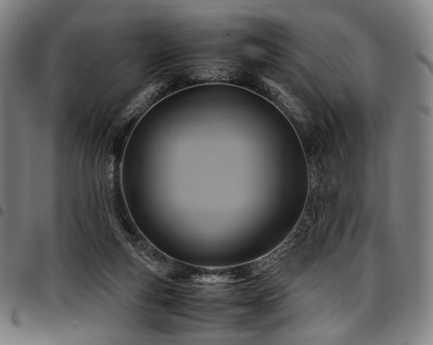 X0000097600163200802291252