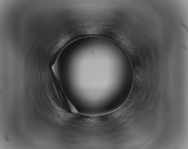 X0000097600164200802291252