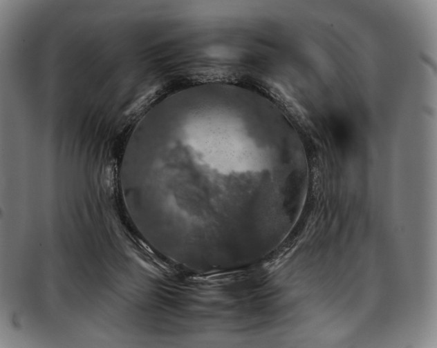 X0000097600165200802291252