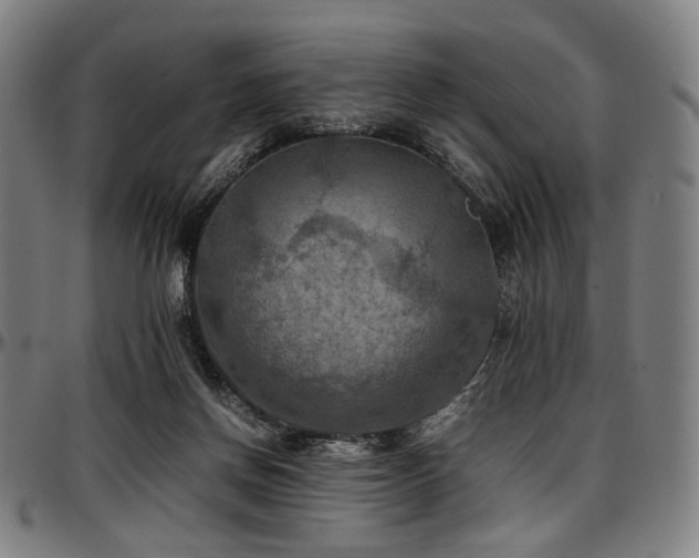 X0000097600166200802291252