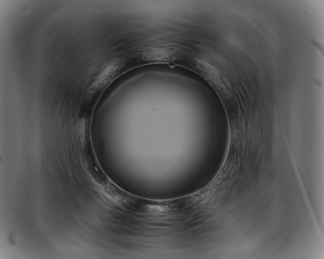 X0000097600167200802291252