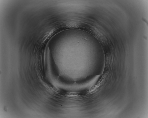 X0000097600168200802291252