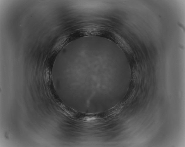 X0000097600169200802291252