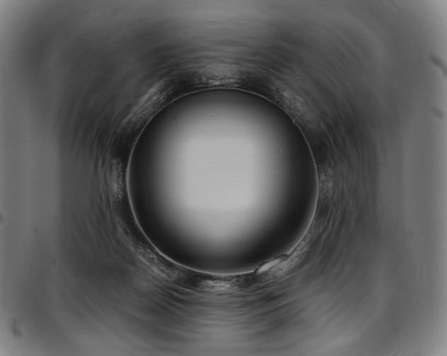 X0000097600170200802291252