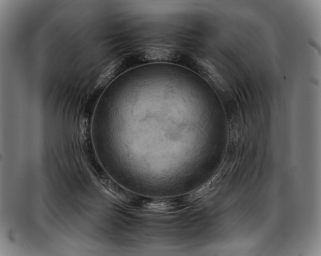 X0000097600171200802291252