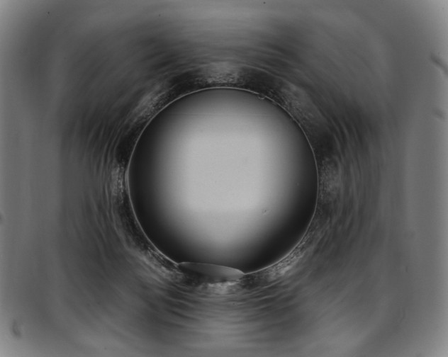 X0000097600172200802291252