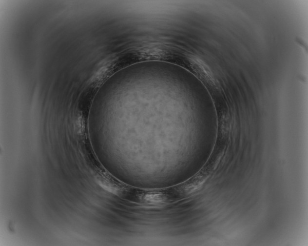 X0000097600173200802291252