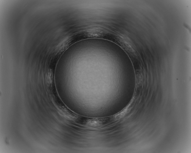 X0000097600174200802291252
