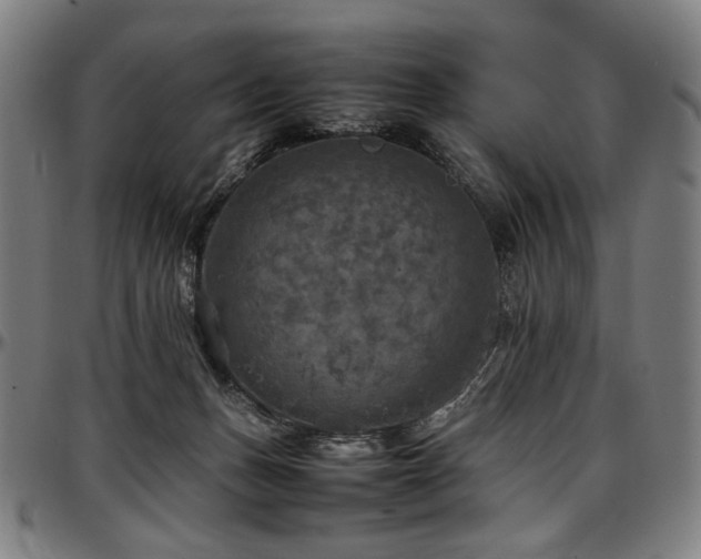 X0000097600175200802291252
