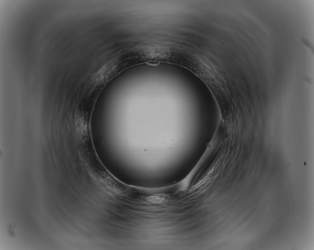 X0000097600176200802291252