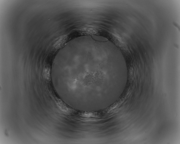 X0000097600177200802291252