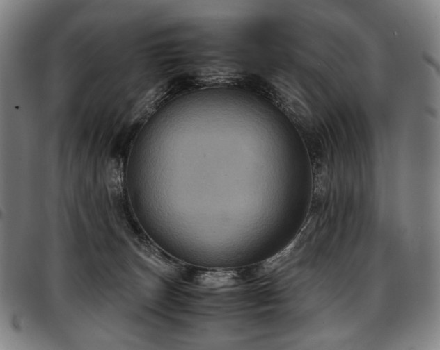 X0000097600179200802291252