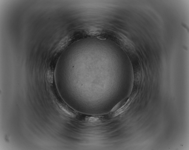 X0000097600180200802291252