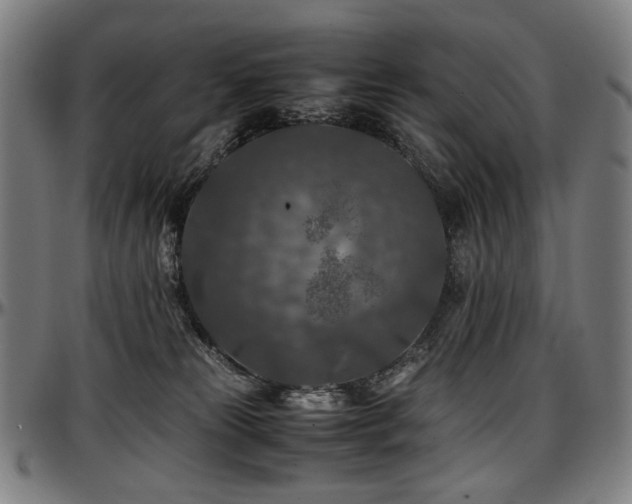 X0000097600181200802291252