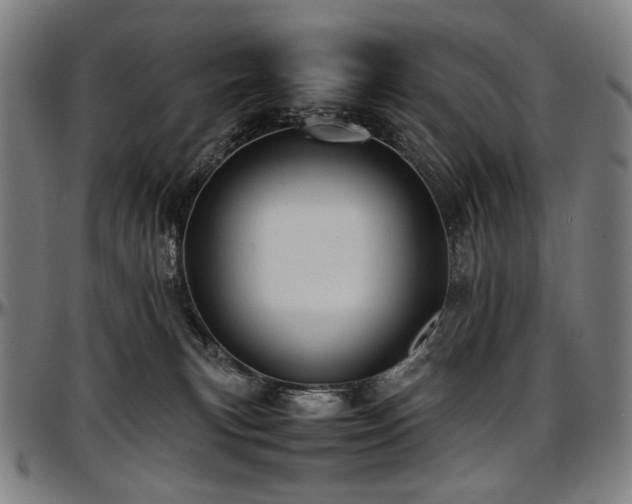 X0000097600183200802291252