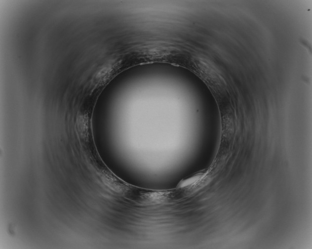 X0000097600184200802291252