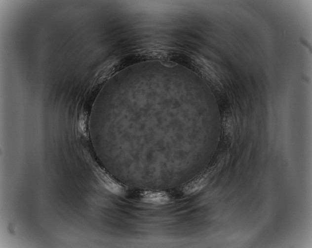 X0000097600185200802291252