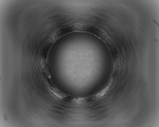 X0000097600186200802291252