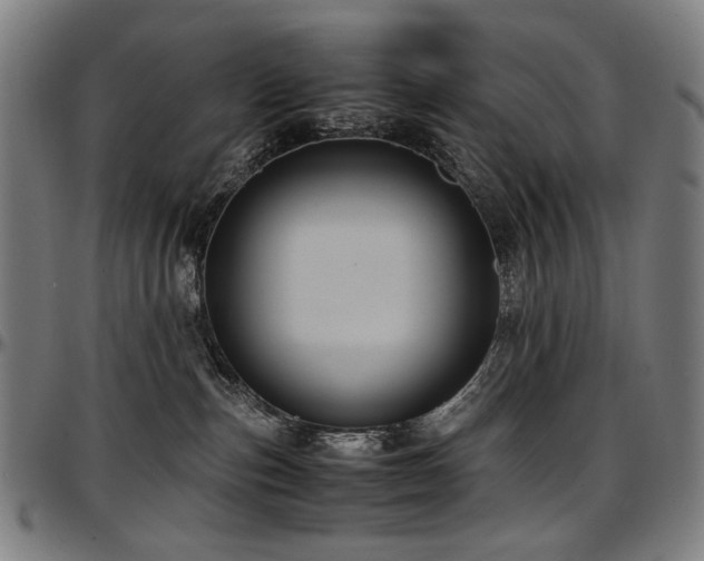 X0000097600187200802291252