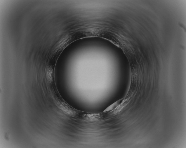 X0000097600188200802291252