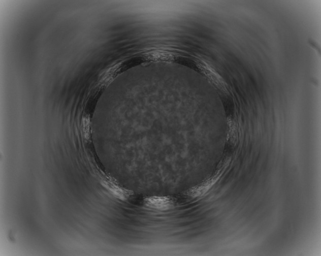 X0000097600189200802291252