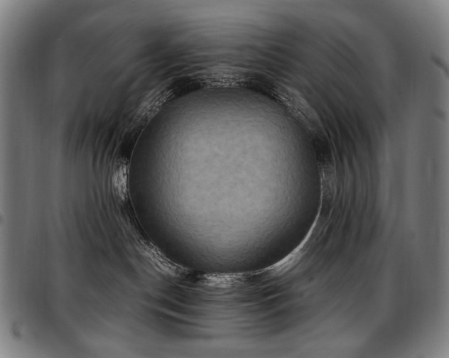 X0000097600190200802291252
