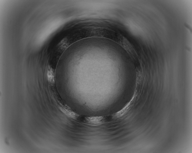 X0000097600191200802291252