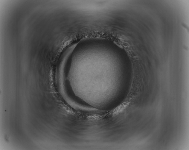X0000097600192200802291252