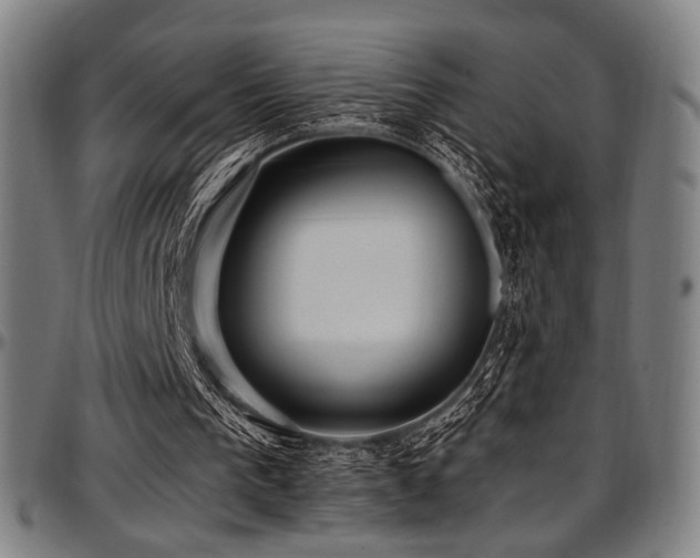 X0000097600193200802291251