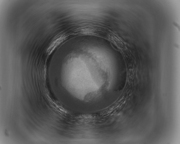 X0000097600194200802291251