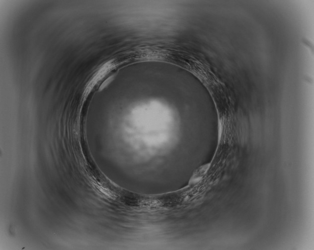 X0000097600195200802291251