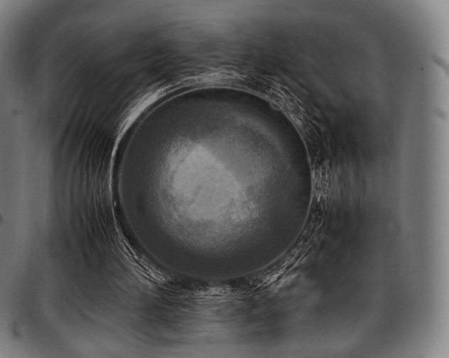 X0000097600196200802291251
