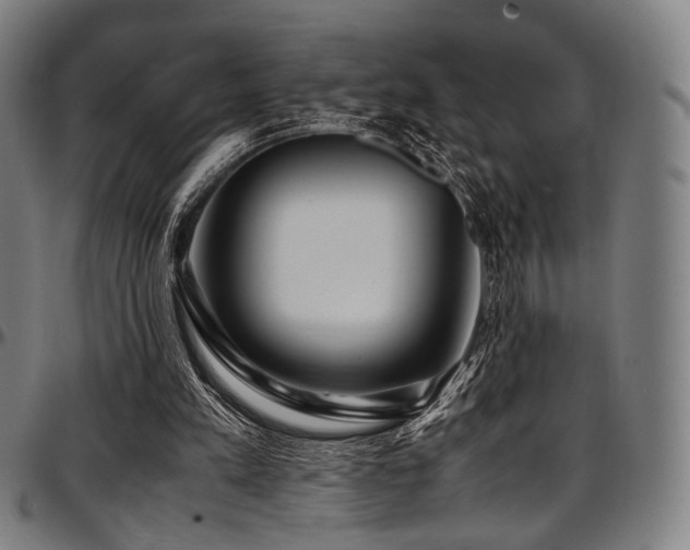 X0000097600197200802291251