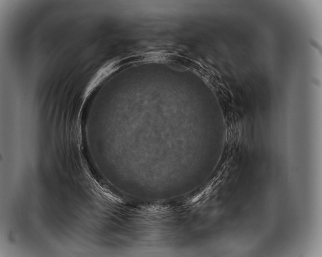 X0000097600198200802291251
