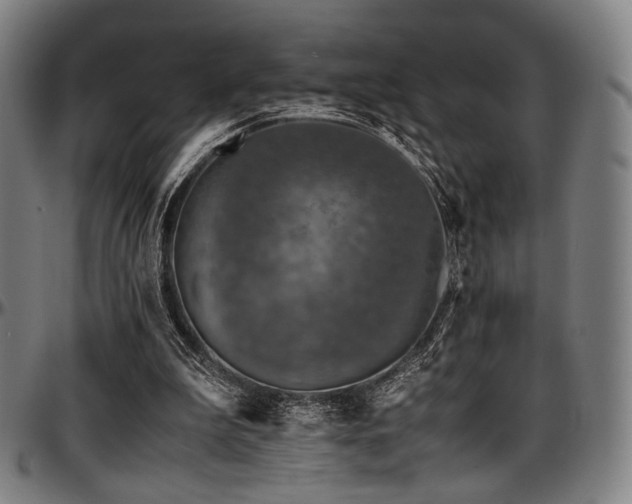 X0000097600199200802291251