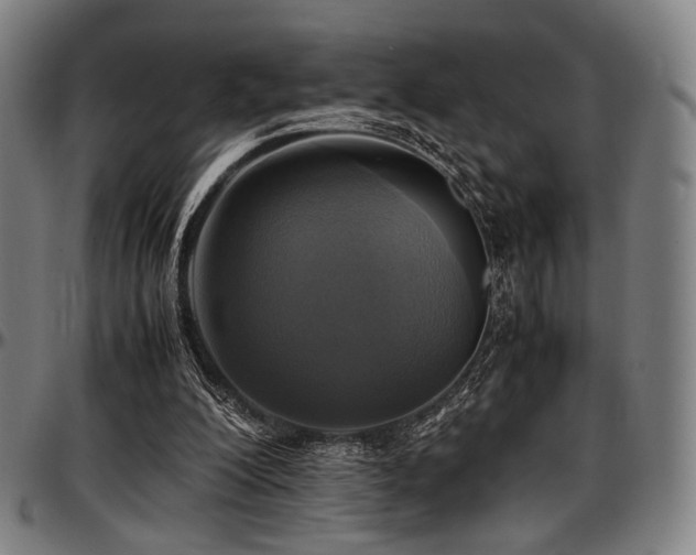 X0000097600200200802291251