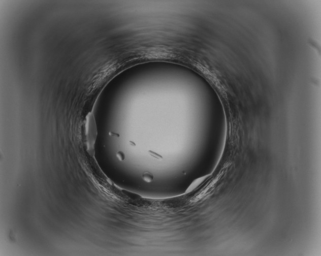 X0000097600201200802291251