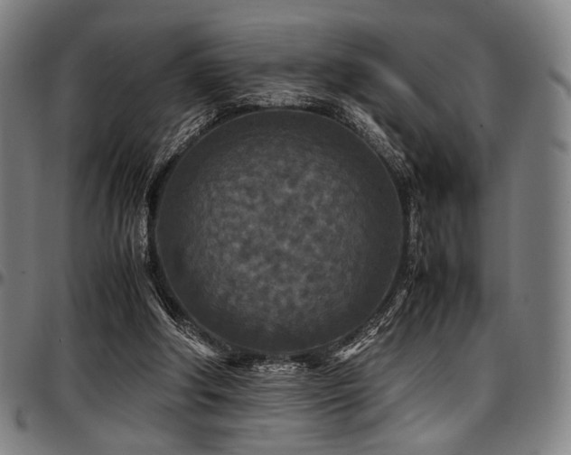 X0000097600202200802291251
