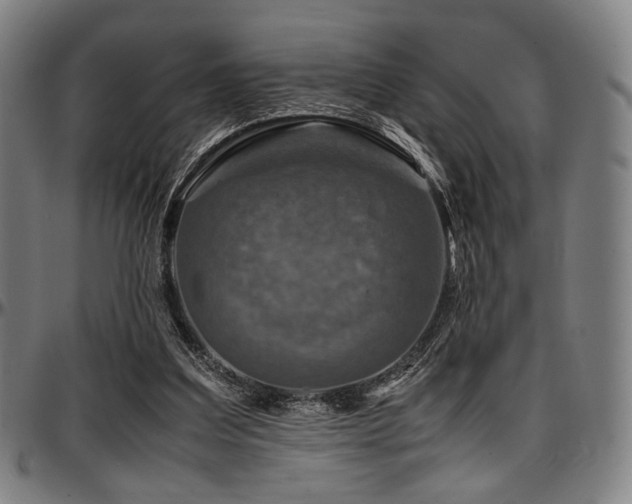 X0000097600203200802291251