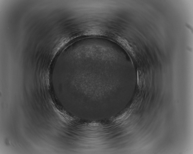 X0000097600204200802291251