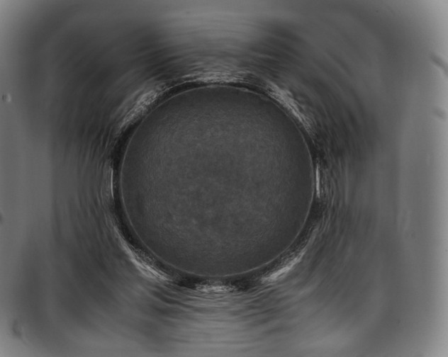 X0000097600205200802291251