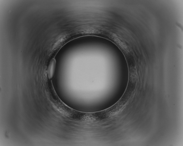 X0000097600207200802291251
