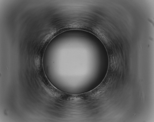 X0000097600208200802291251