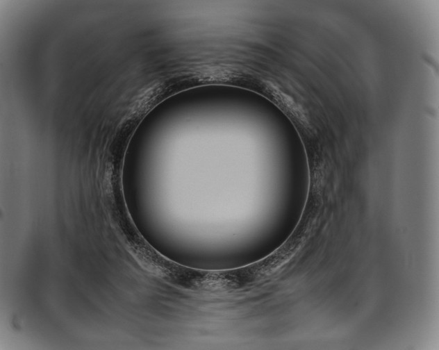 X0000097600209200802291251